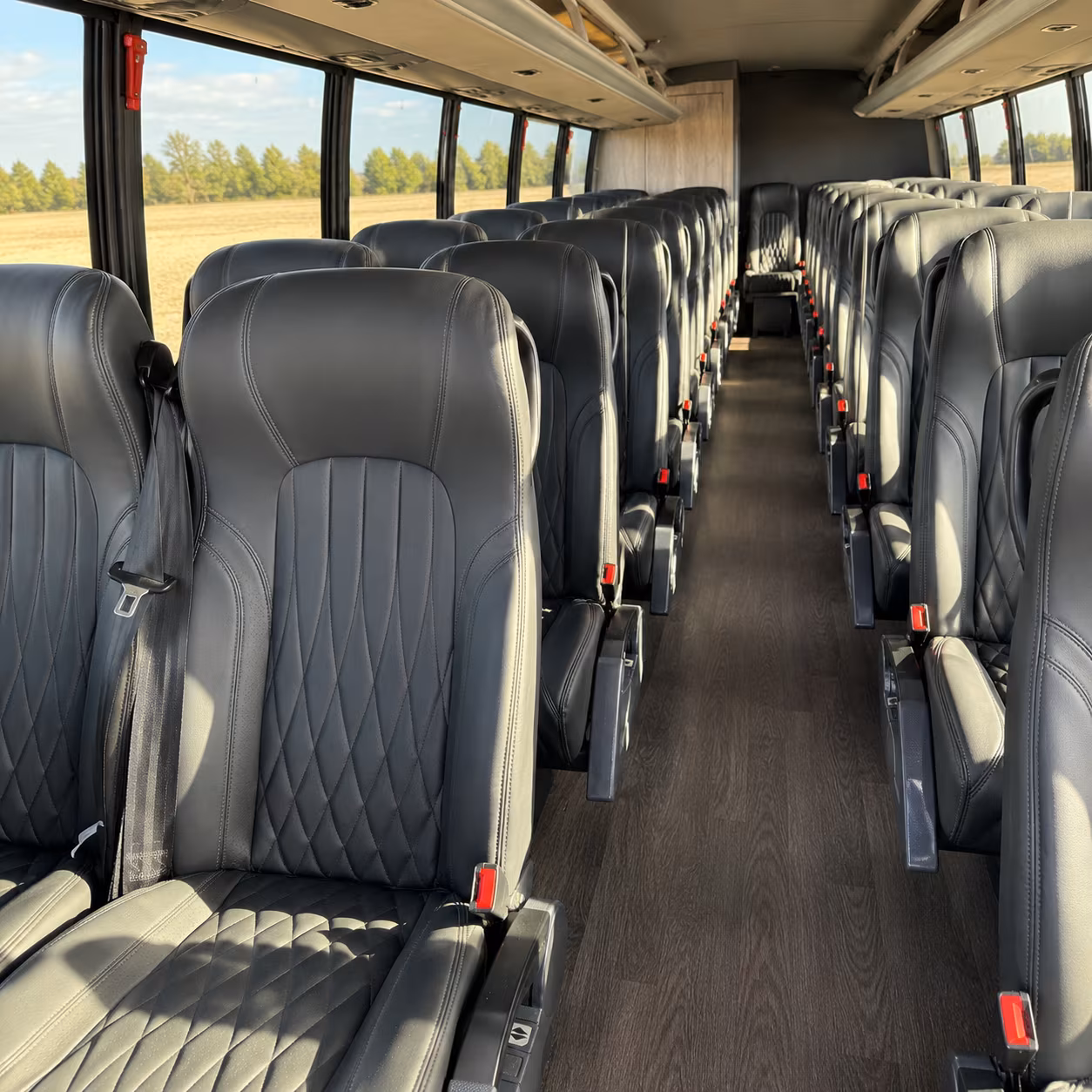 reserve transportation for your next birthday 4